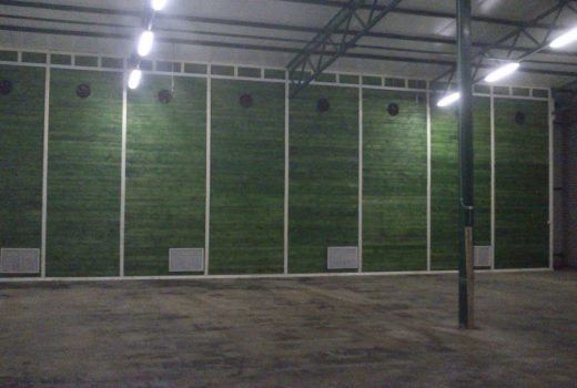 Реконструированное фермером овощехранилище вид 3. ФХ