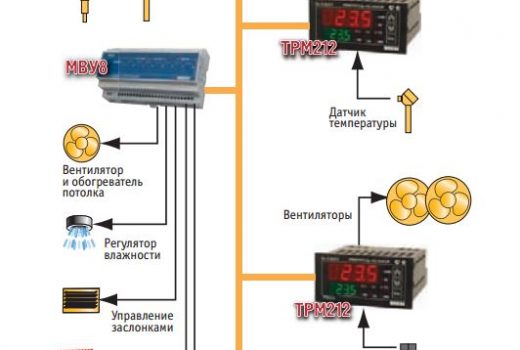 Функциональная система управления