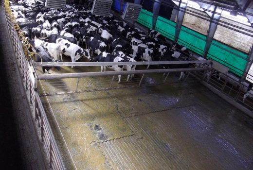 Кондиционирование воздуха в корпусах постоянного содержания