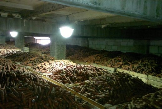 Реконструированное фермером овощехранилище вид 1. ФХ