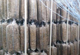 АСУ ТП субстратного цеха