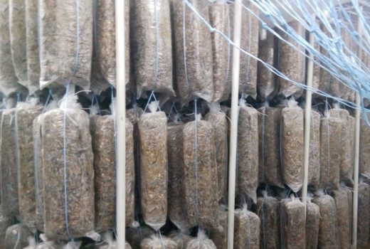 АСУ ТП субстратного цеха