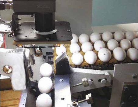 Функциональная схема сортировки яиц