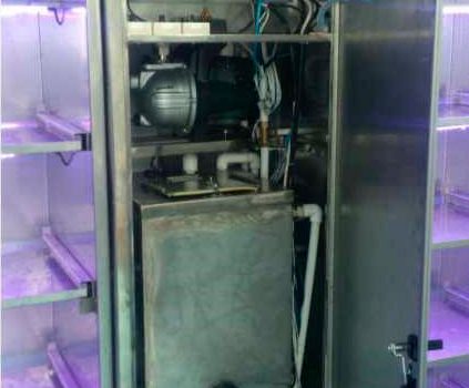 Специализированная камера для проращивания сои