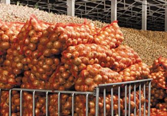 Комплексная система управления для овощехранилищ