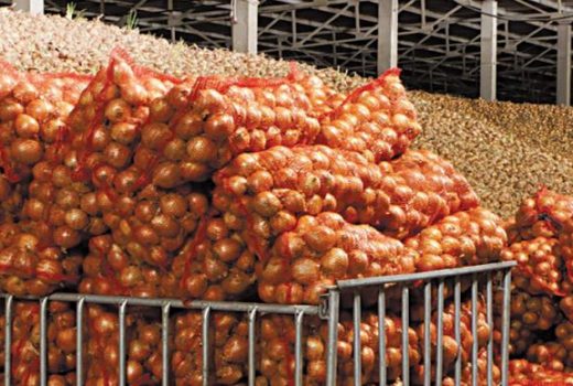 Комплексная система управления для овощехранилищ