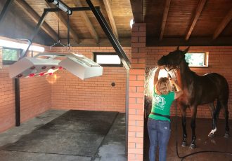 Солярий для лошадей