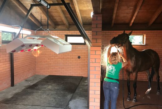 Внешний вид солярия