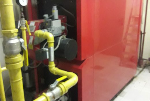 Газовые котлы Duomax 600