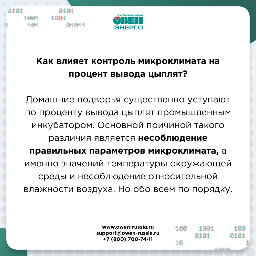 Как влияет контроль микроклимата на процент вывода цыплят