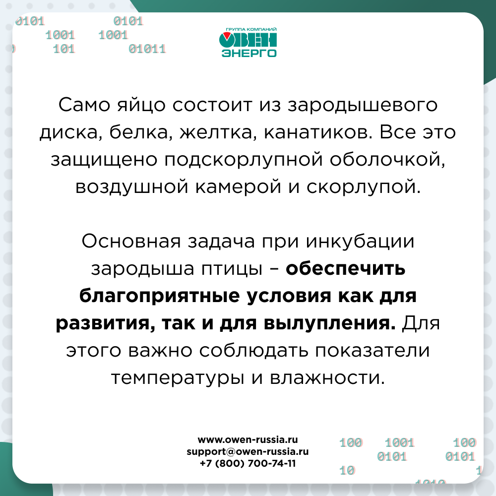 Основная задача при инкубации зародыша птицы – обеспечить благоприятные условия как для развития, так и для вылупления