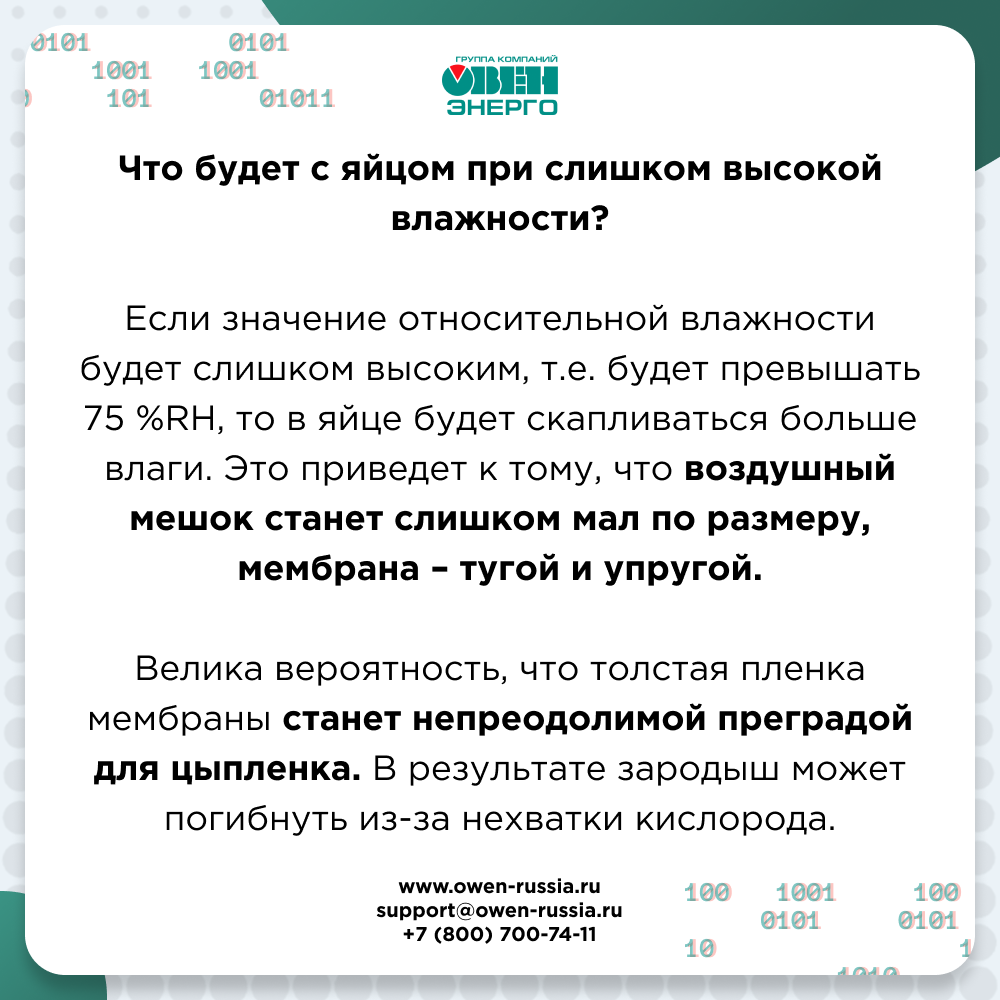 Что будет с яйцом при слишком высокой влажности?