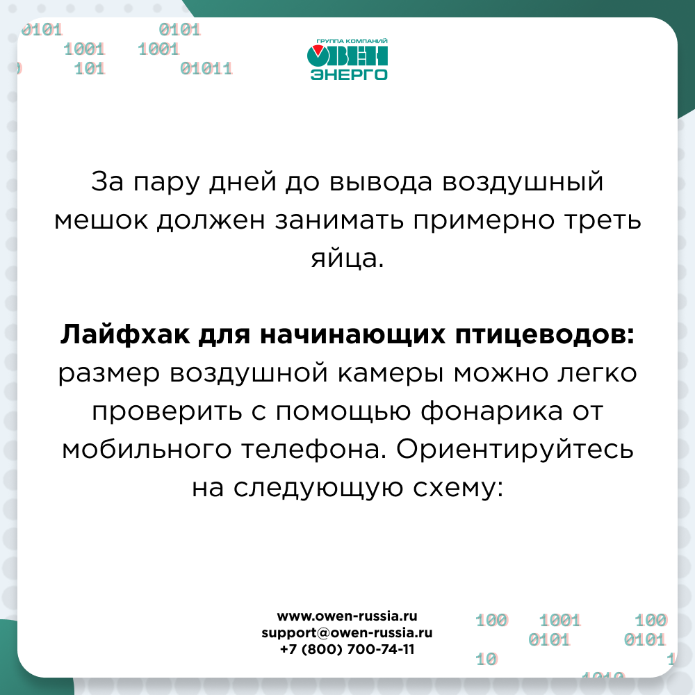 Лайфхак для начинающих птицеводов